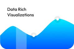 data rich visualizations